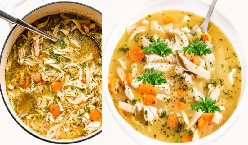 Homemade Wawa Chicken Noodle Soup Recipe